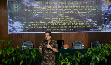 Seminar Ulin