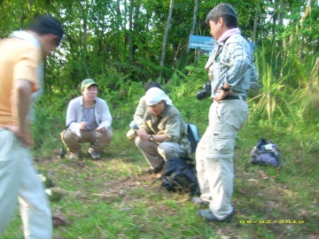 Pohon dan Buah