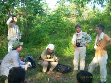 Pohon dan Buah