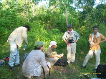 Pohon dan Buah