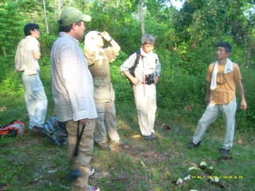 Pohon dan Buah